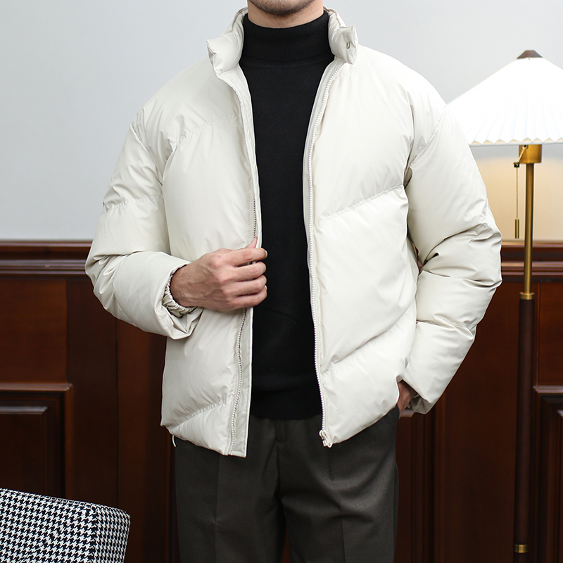 IsirHonour新款时尚立领拉链90白鸭绒羽绒服男韩版潮休闲夹克外套