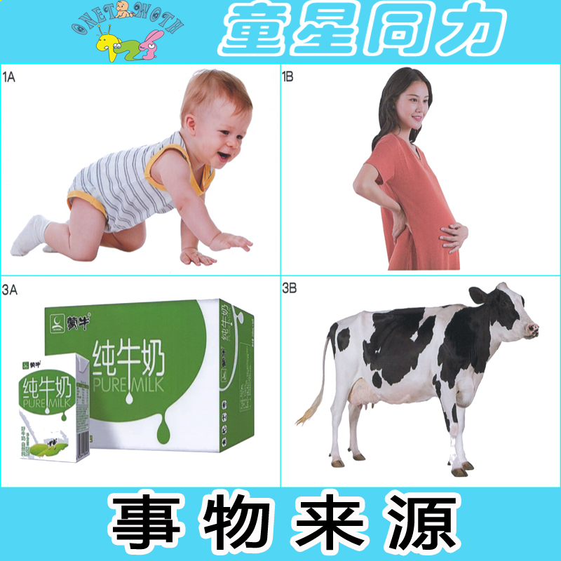 认知益智语言发育迟缓孤独症卡片