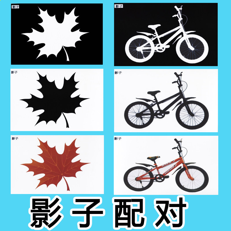 影子配对思维语言发育迟缓卡片