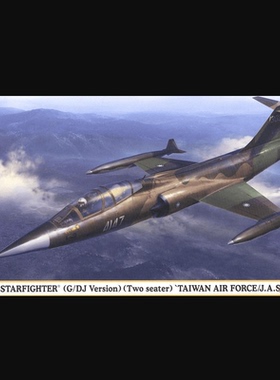 Hasegawa 1/48 國軍 F-104 戰鬥機 G/DJ型 (07473) 组装拼装模型