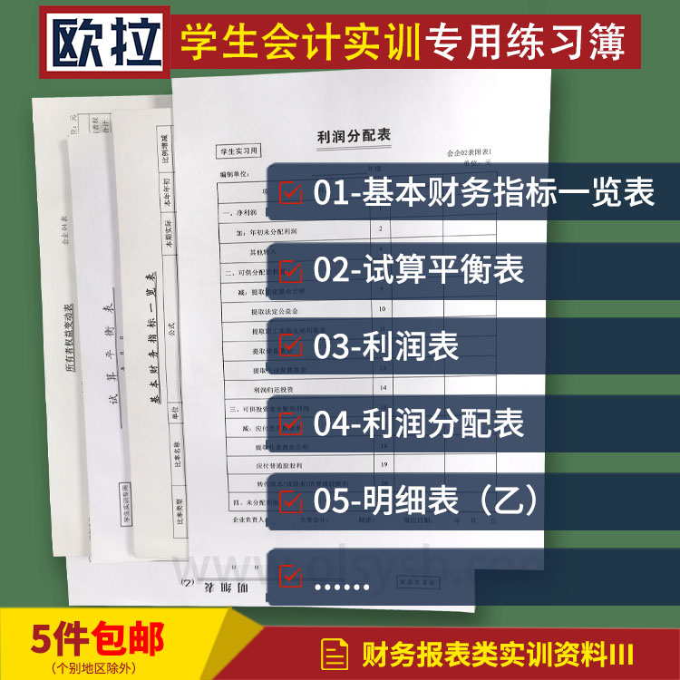 所有者权益分配表试算平衡表财务指标分析表利润分配表财务科报表