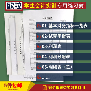 所有者权益分配表试算平衡表财务指标分析表利润分配表财务科报表