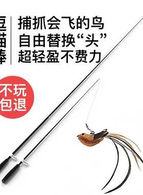 逗猫棒可伸缩耐咬玩小猫超长钓鱼竿弹力网玩具飞鸟耐咬Amy Carol