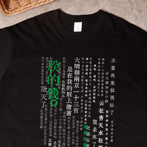 大明王朝1566朕的钱短袖T恤男