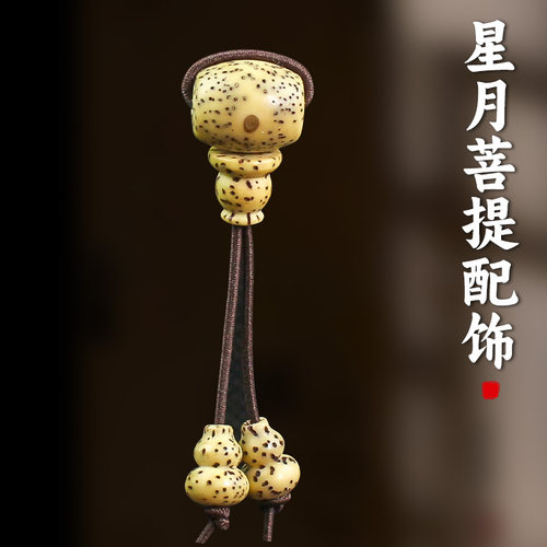 星月菩提老籽三通佛塔小葫芦吊坠DIY小金刚佛珠文玩手串配饰套装