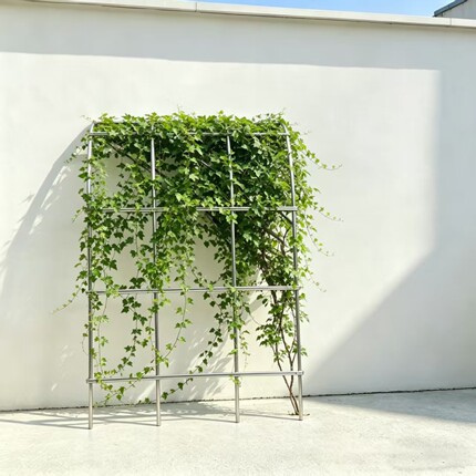 花园花架户外葡萄架月季爬藤架加粗25管径镀锌管拱门花架紫藤架子