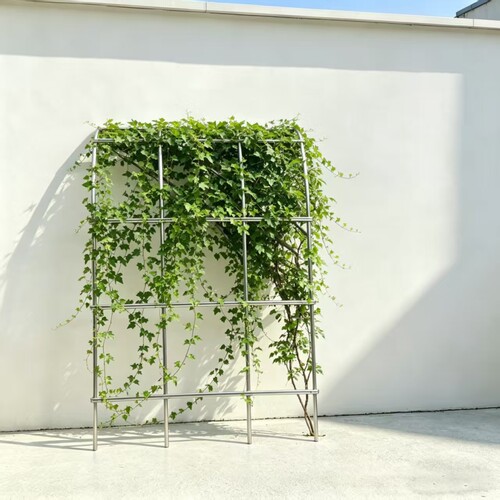 花园花架户外葡萄架月季爬藤架加粗25管径镀锌管拱门花架紫藤架子