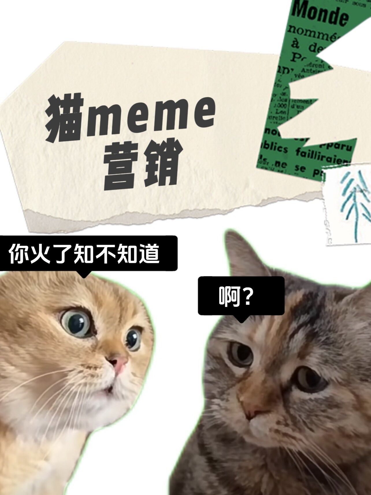 不定期更新各种运损沐浴露洗发水日化化妆品彩妆等建议收藏