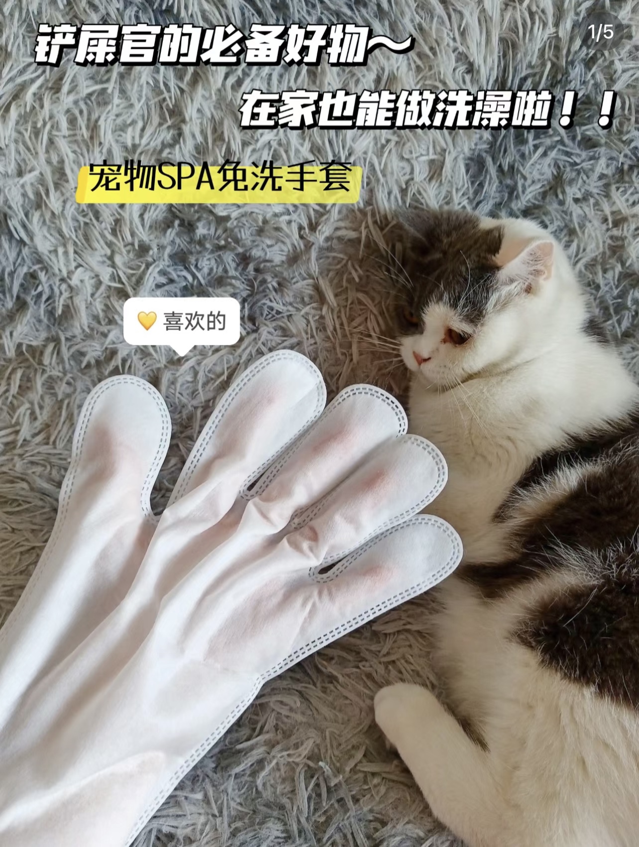 宠物spa免洗清洁手套猫狗用