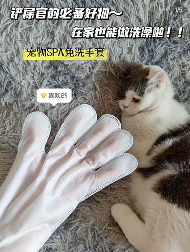 宠物spa免洗清洁手套猫狗用
