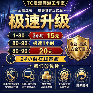 魔兽世界正式服至暗之夜副本傲天站桩练级1-80-90升级等级代练