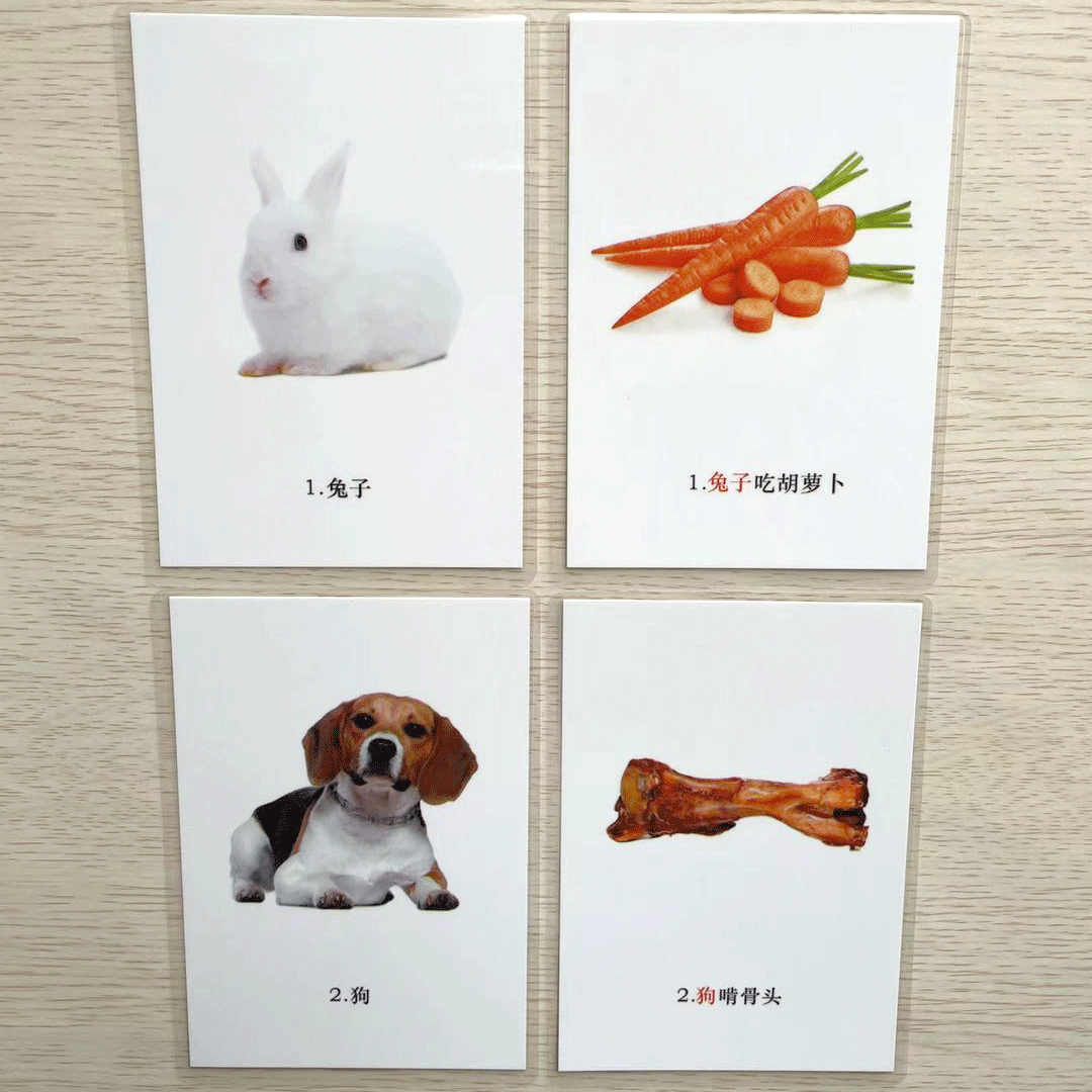 动物食物配对康复训练