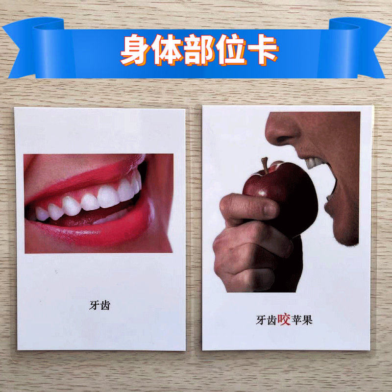 身体部位名称与功能自闭症孤独症语言认知康复训练个训教具清晰