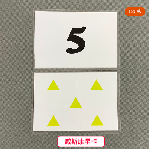 数与量量与量配对训练自闭症教具