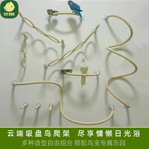 鹦鹉玻璃吸盘站架空中站杠