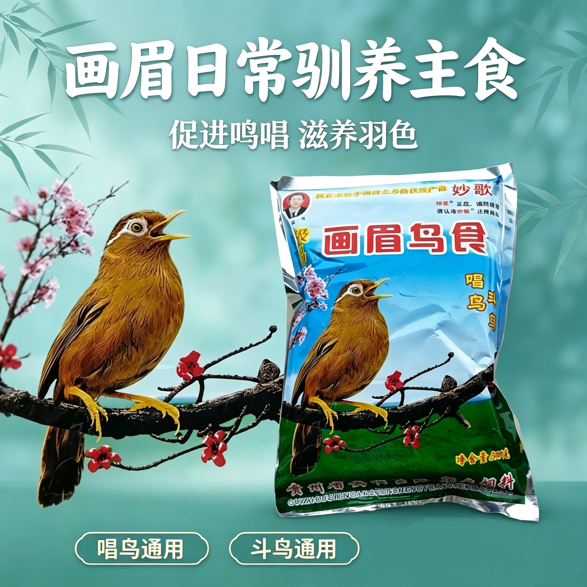 包邮贵州妙歌鸟食提性画眉
