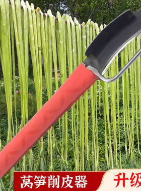 莴笋专用削皮刀莴苣贡菜刮皮刀不锈钢削冬专南瓜刨皮打皮刀削皮器