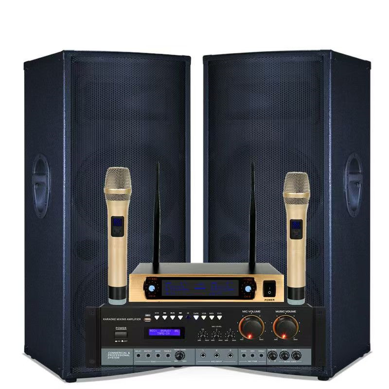 震音朗悦 双15寸大型家用蓝牙音响k歌户外舞台演出婚庆音箱重低音