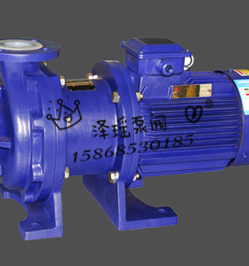 氟塑料磁力泵/F46泵/衬氟水泵/化工泵/IMC25-20-100F 电机0.37KW