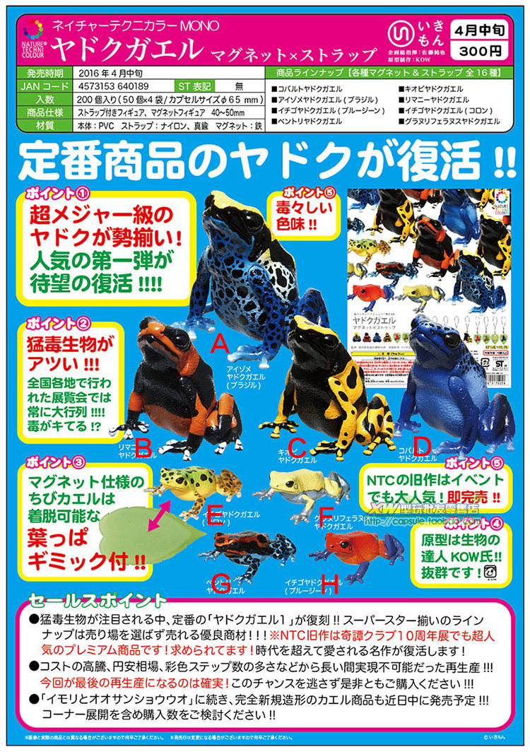 正版club奇谭俱乐部扭蛋玩具 ntc图鑑 箭毒青蛙磁铁吊饰蛤蟆 现货