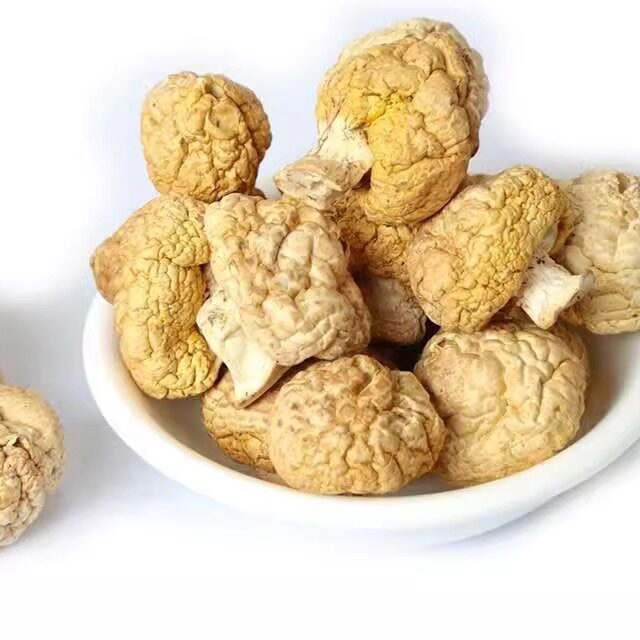 甘肃祁连焉支山野生天然黄蘑菇香菇小黄菇干货煲汤皇菇钉子菇500g