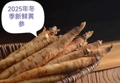 新鲜黄参黄葑2025年山丹小人参野萝卜甘肃祁连天然野生涮火锅炒菜