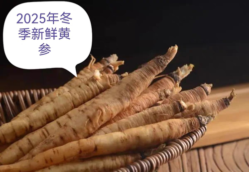 新鲜黄参黄葑2025年山丹小人参野胡萝卜甘肃祁连山特产天然涮火锅