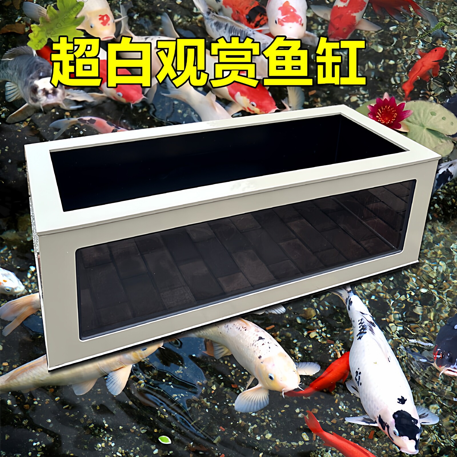加厚观赏鱼池超白玻鱼璃鱼缸金鱼兰寿龙鱼轻体锦鲤鱼箱海水缸龟池