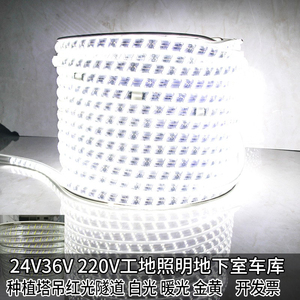led灯带低压24v36v户外亮化隧道车库矿井地下室防水照明100米127V