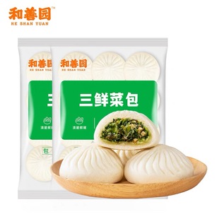 和善园三鲜菜包菜包餐饮用半成品速冻包子营养早餐1000克/袋10只
