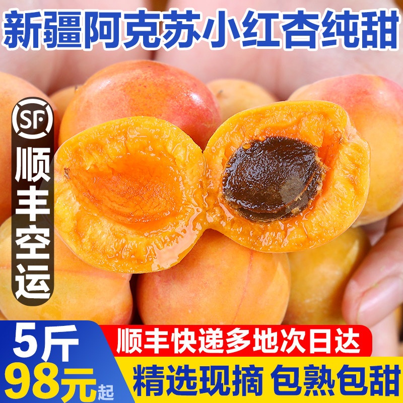 新疆小红杏当季吊干杏鲜杏哈密小黄杏蜜杏纯甜杏子新鲜水果小白杏