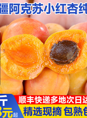 新疆当季鲜甜小红杏吊干杏