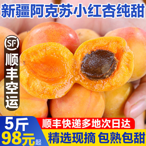 新疆当季鲜甜小红杏吊干杏