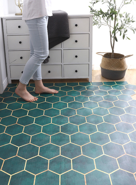 高级入户门地垫耐脏可擦洗pvc门垫免洗门口脚垫防滑皮革进门垫子