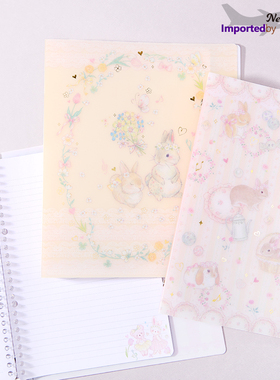 日本Clothes pin活页笔记本B5手帐防水塑料硬壳封面Takeimiki甜美