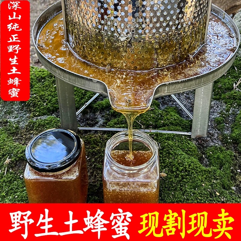 蜂蜜纯正天然野生山野蜂哥农家自产正宗无添加不喂糖百花蜜峰蜜