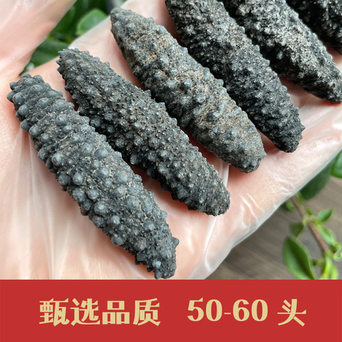 野生纯淡干澳洲小黑刺参干货正品