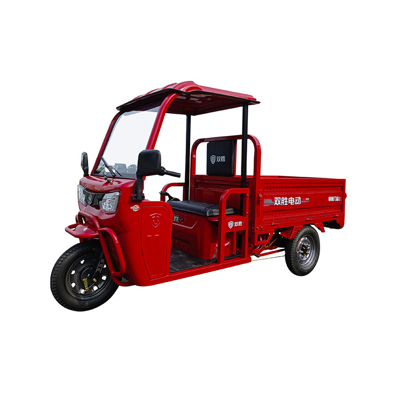 双胜敞篷电动三轮车-胜龙