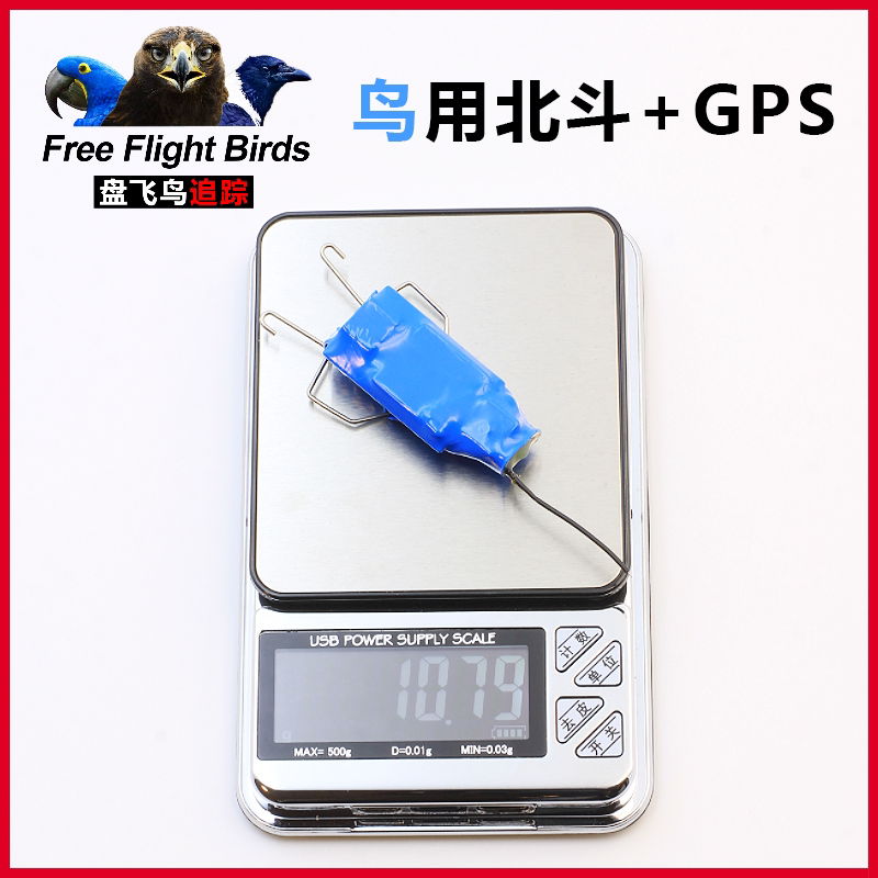 鹦鹉鸽子全球定位器GPS金刚渡鸦