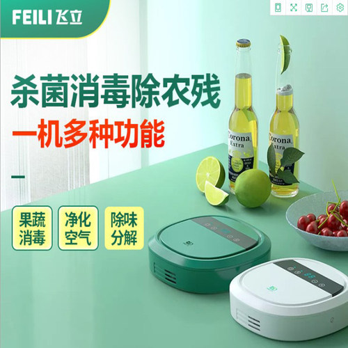 飞立除甲醛杀菌果蔬臭氧发生器