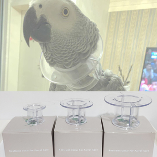 灰葵金花刚亚马中大型逊鹦鹉防咬毛脖套圈啄羽自残伊丽莎白圈围脖