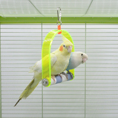 虎皮牡丹玄凤小太阳和尚鹦鹉吊环秋千攀爬啃咬磨爪站棒鸟笼玩具