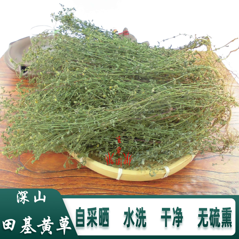 凉茶田基黄新鲜益肝七寸金草中药