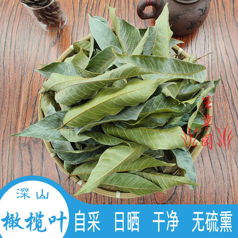 新鲜橄榄叶干忠果叶青果叶谏果叶青橄榄叶白榄叶黄榄叶甘榄中草药