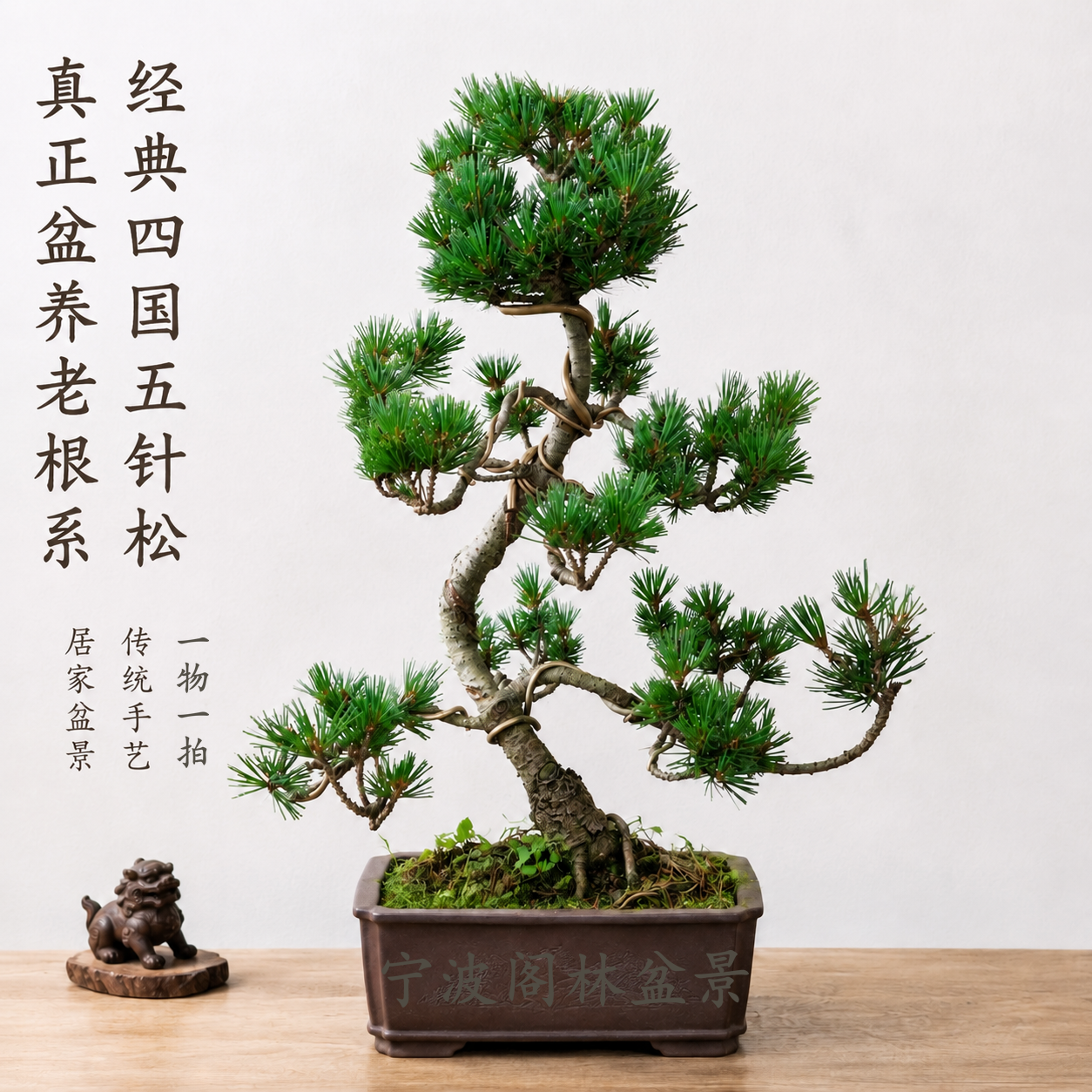 精作造型小品五针松庭院顺丰快递