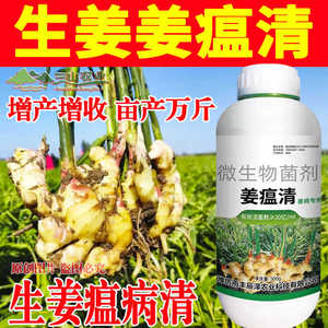 姜瘟清生姜专用药烂脖子病根腐病茎基腐病大姜姜温净杀菌剂姜瘟灵