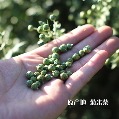 遂昌菊花袋子菊花米遂昌野菊米