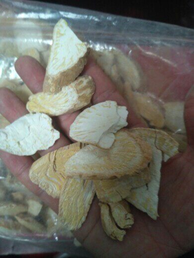 通血草 云南苗家中药材腾冲腾冲野生中草药