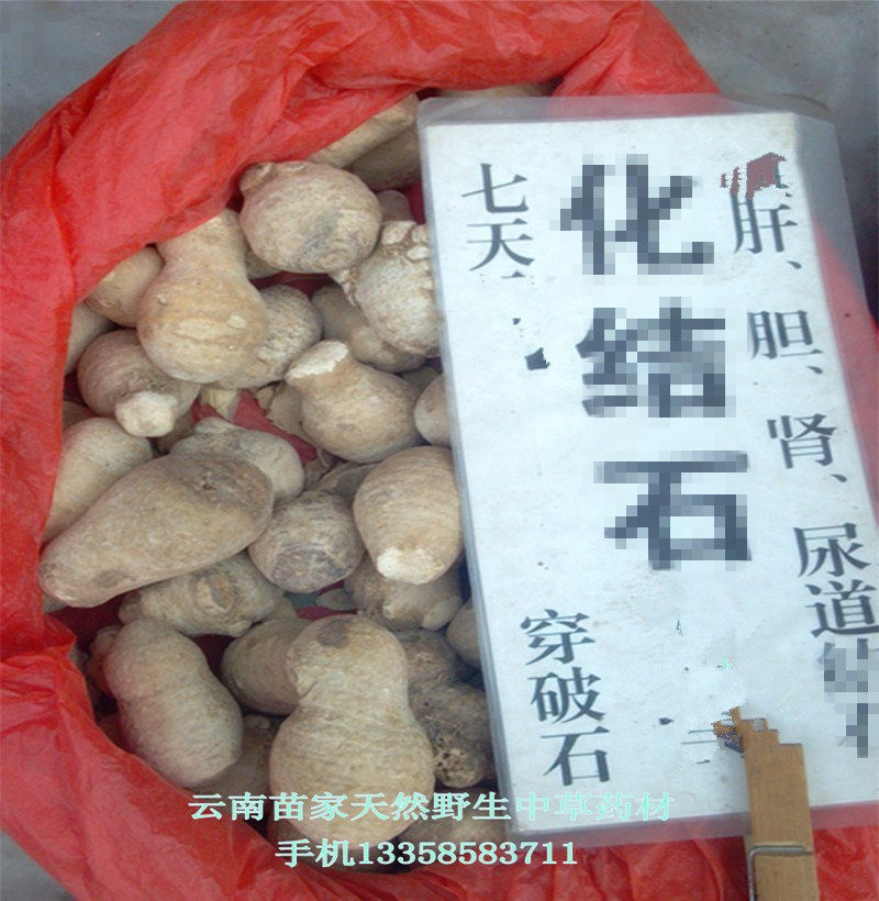 穿破石：云南苗药腾冲特产 苗家野生中草药中药材500克