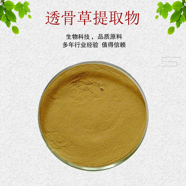 透骨草提取物30:1 透骨草浓缩粉 植物提取物 量大从优 现货包邮